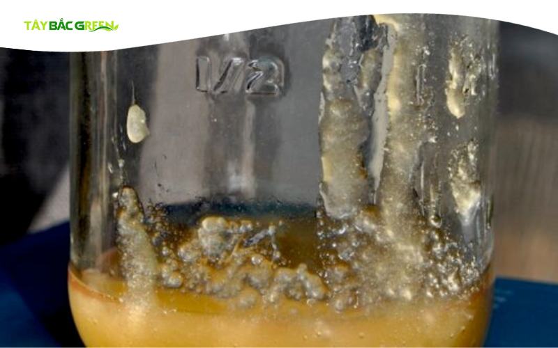 Có rất nhiều nguyên nhân khiến mật ong bị đóng đường