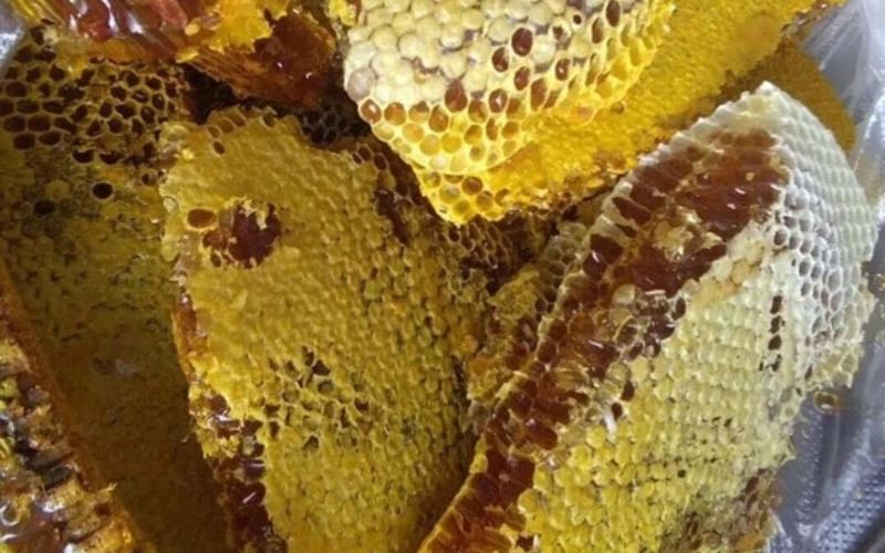 10+ cách phân biệt mật ong rừng và mật ong nuôi