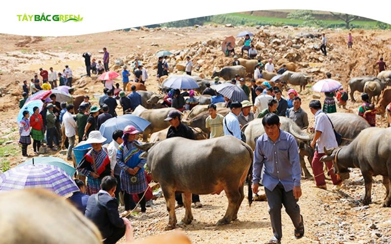 Phiên chợ Tây Bắc