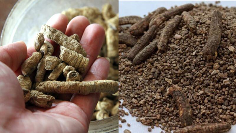 cách ngâm rượu chuối hột chín tươi