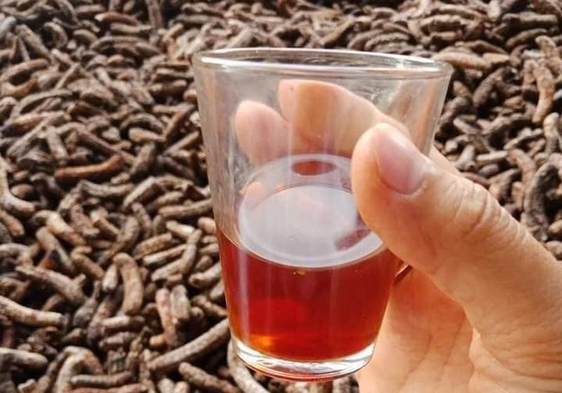 cách ngâm rượu chuối hột chín tươi