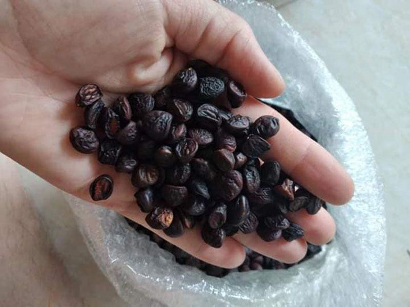 cách rang hạt dổi