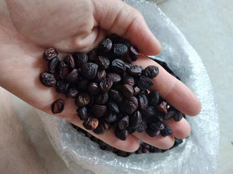 cách rang hạt dổi