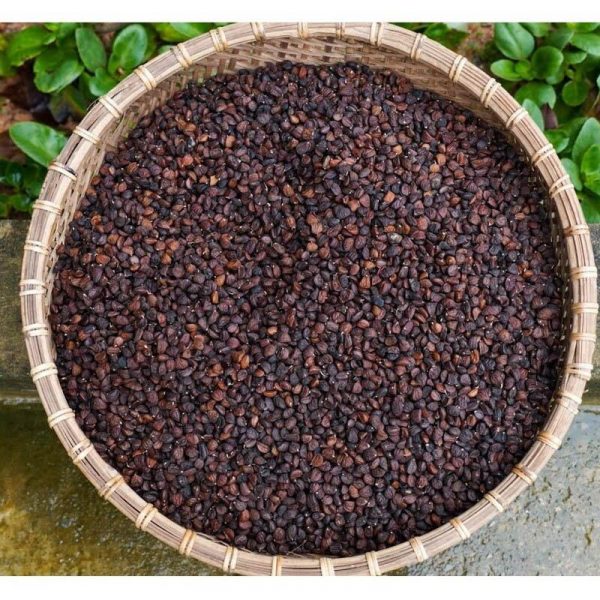 cách rang hạt dổi