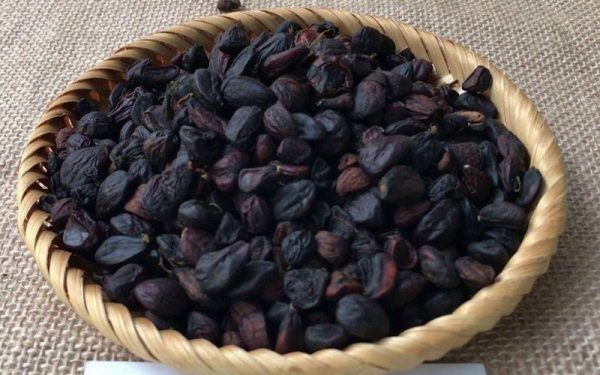 Tác dụng chữa bệnh của hạt dỗi