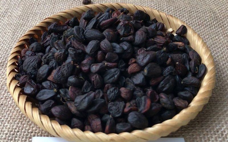 Tác dụng chữa bệnh của hạt dỗi