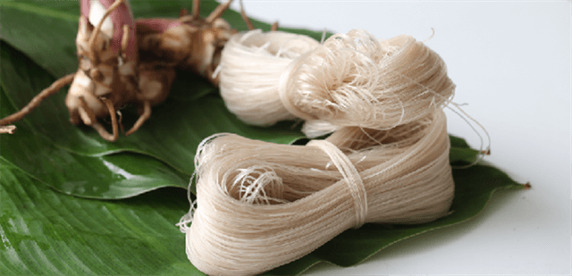 Miến dong có chứa nhiều protein tốt cho sức khỏe