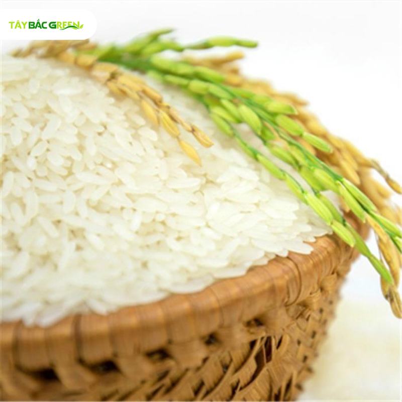 Gạo nếp nương Điện Biên