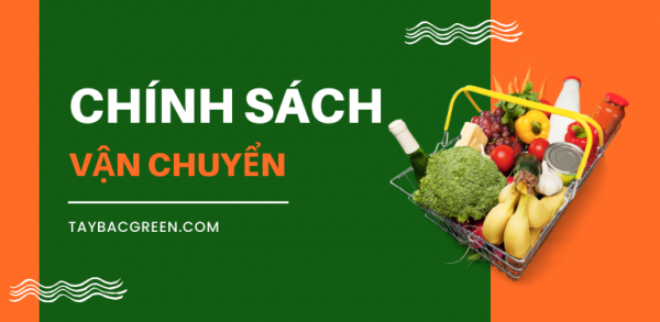 Chính sách vận chuyển